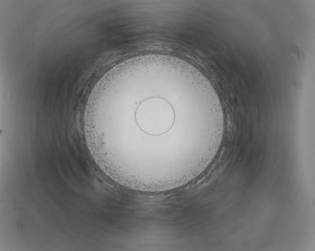 X0000113100820200910091137