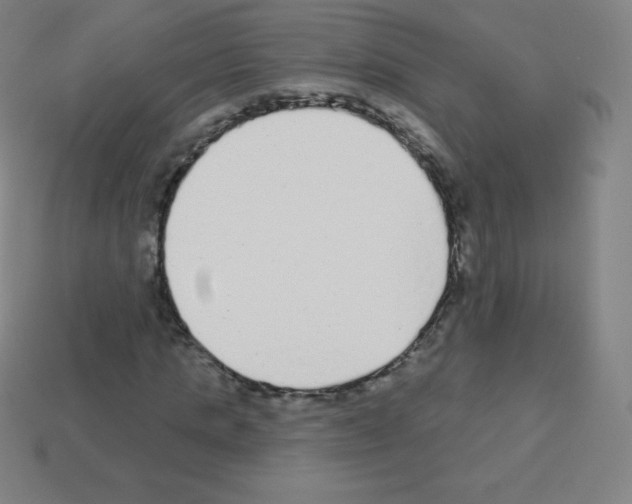 X0000113100821200910091137