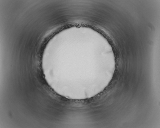 X0000113100823200910091137