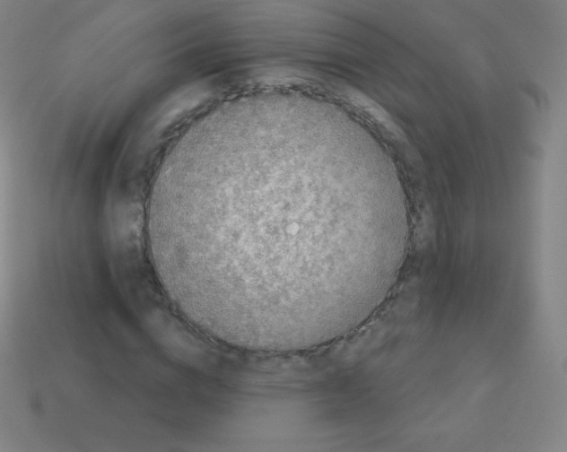 X0000113100824200910091137