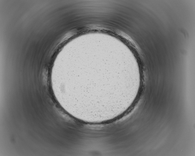 X0000113100825200910091137