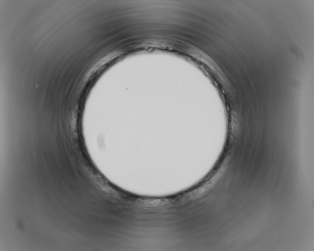 X0000113100826200910091137