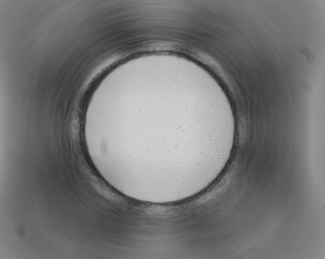 X0000113100827200910091137