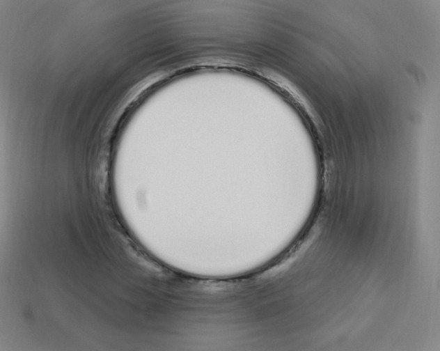 X0000113100829200910091137