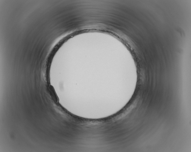 X0000113100830200910091137