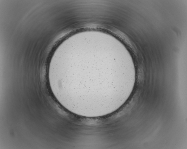 X0000113100831200910091137