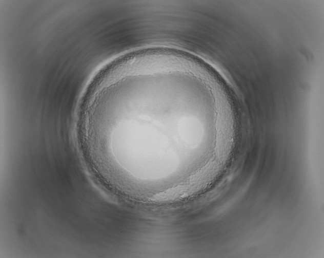 X0000113100832200910091137