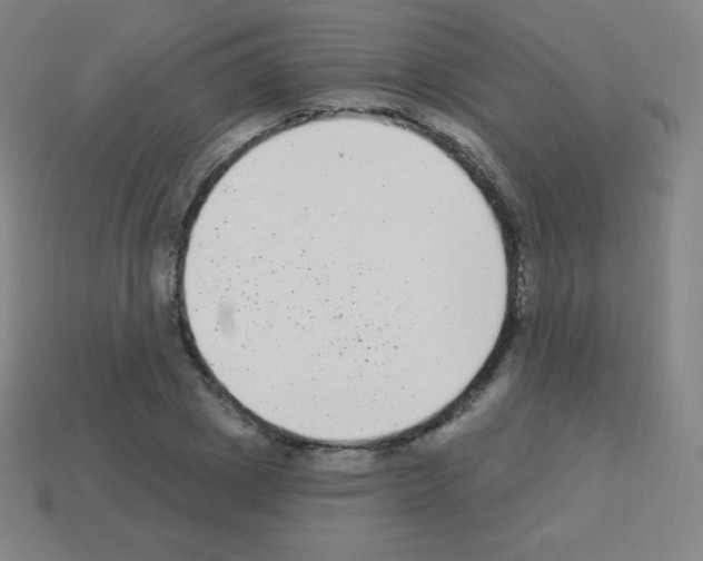 X0000113100833200910091137