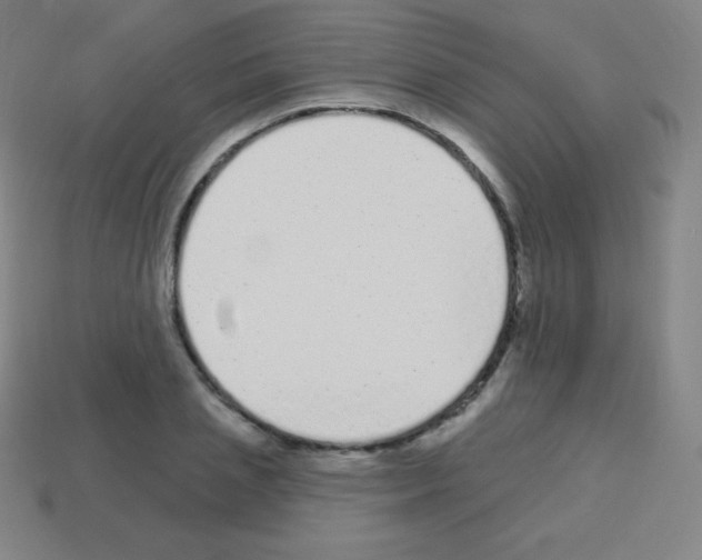 X0000113100837200910091137