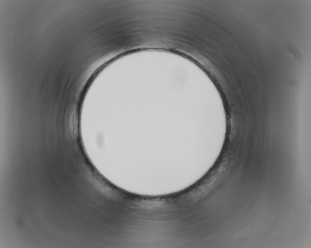 X0000113100838200910091137