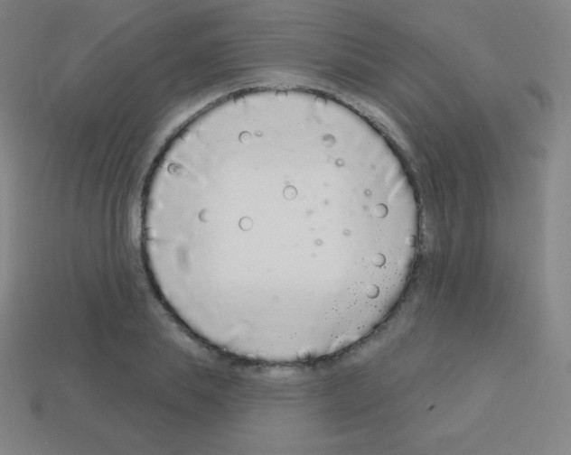 X0000113100839200910091137