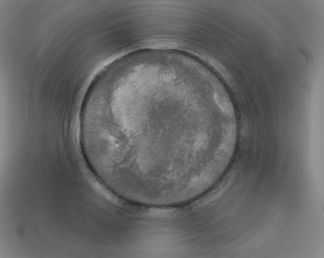 X0000113100840200910091137