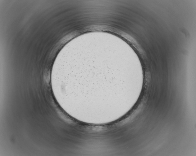 X0000113100841200910091138