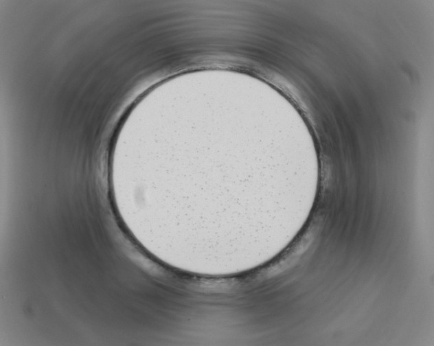 X0000113100843200910091138