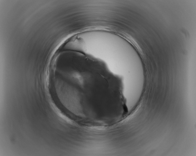 X0000113100844200910091138