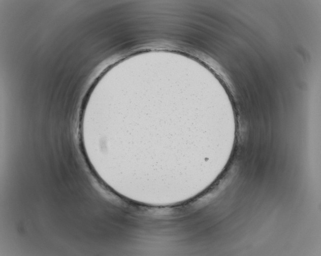 X0000113100845200910091138