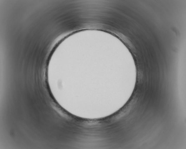 X0000113100846200910091138