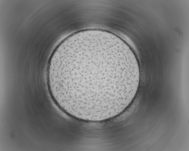 X0000113100847200910091138