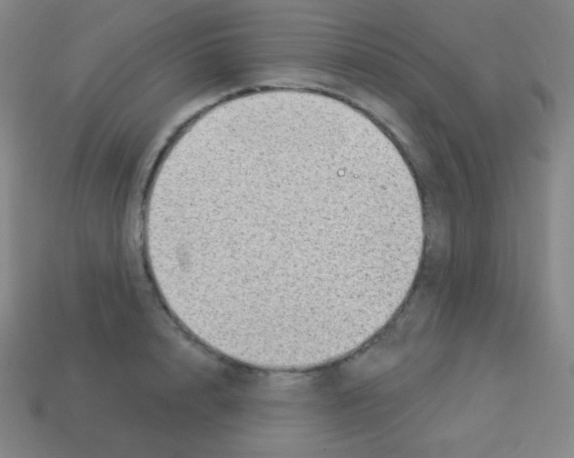 X0000113100848200910091138