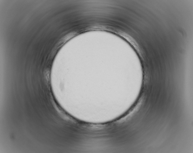 X0000113100849200910091138