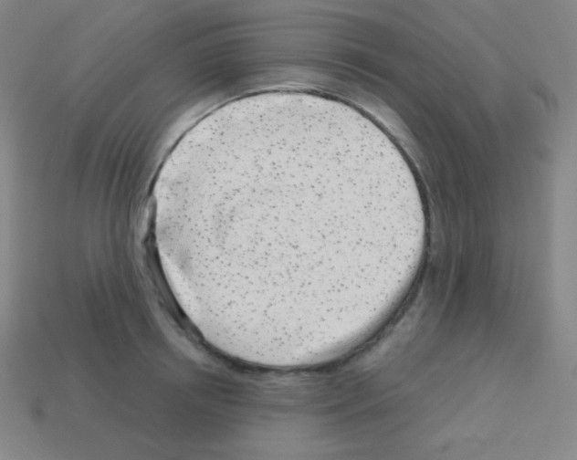 X0000113100850200910091138
