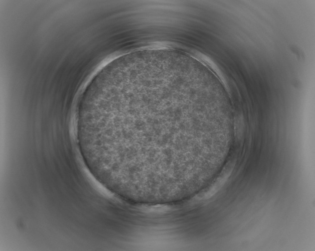 X0000113100851200910091138