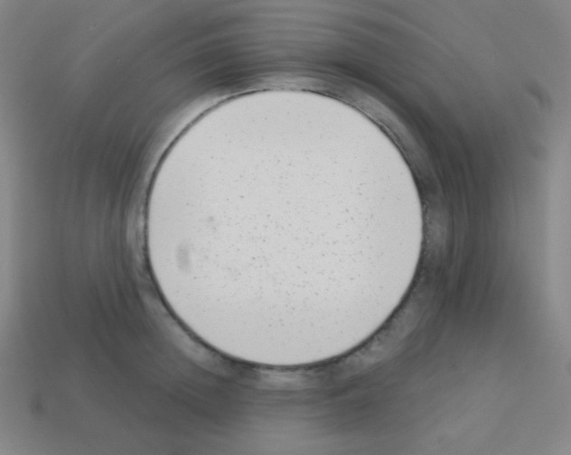 X0000113100852200910091138