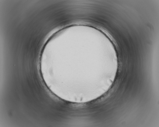 X0000113100853200910091138