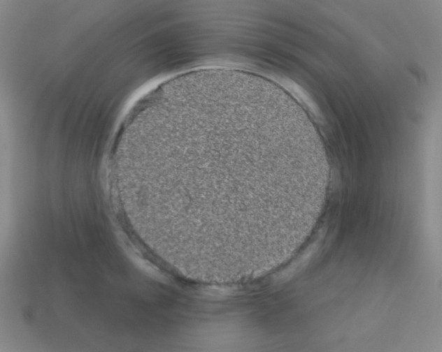 X0000113100854200910091138