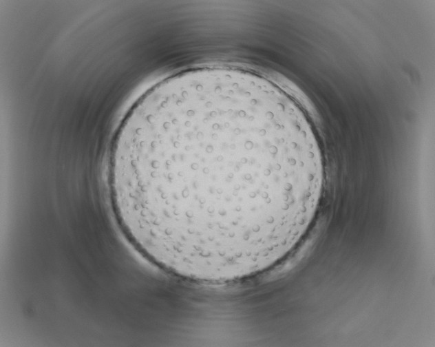 X0000113100855200910091138
