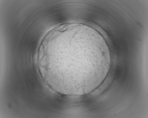 X0000113100856200910091138