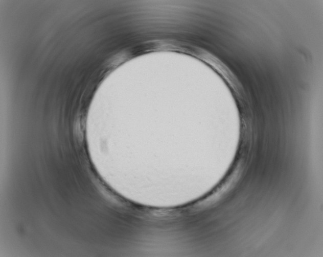 X0000113100857200910091138