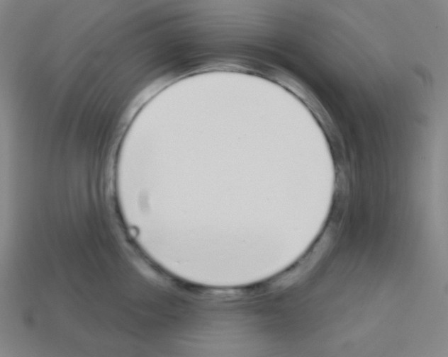 X0000113100858200910091138