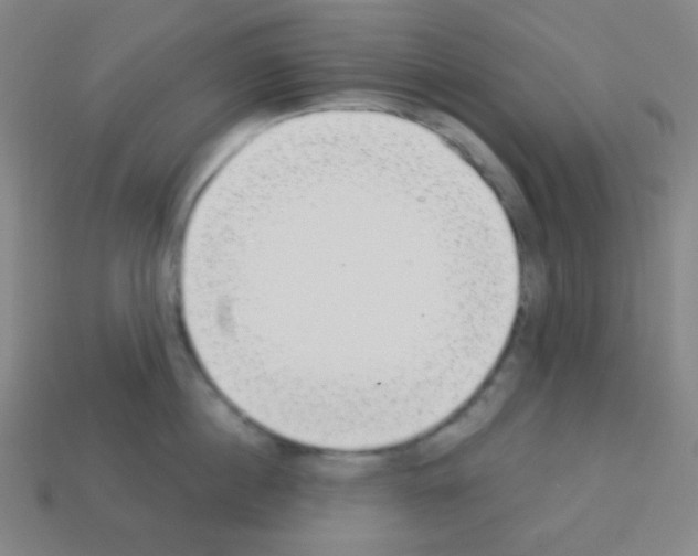 X0000113100860200910091138