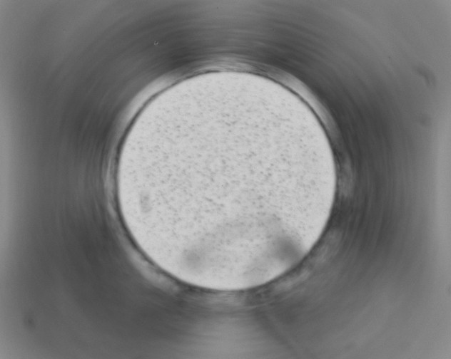 X0000113100861200910091138