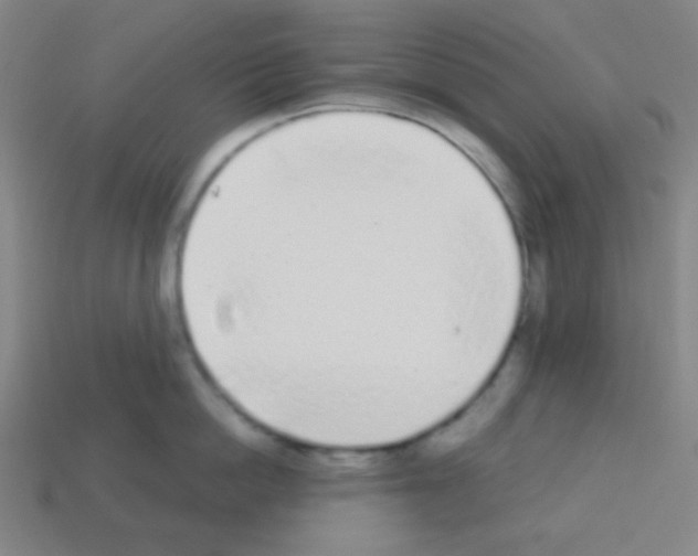 X0000113100862200910091138