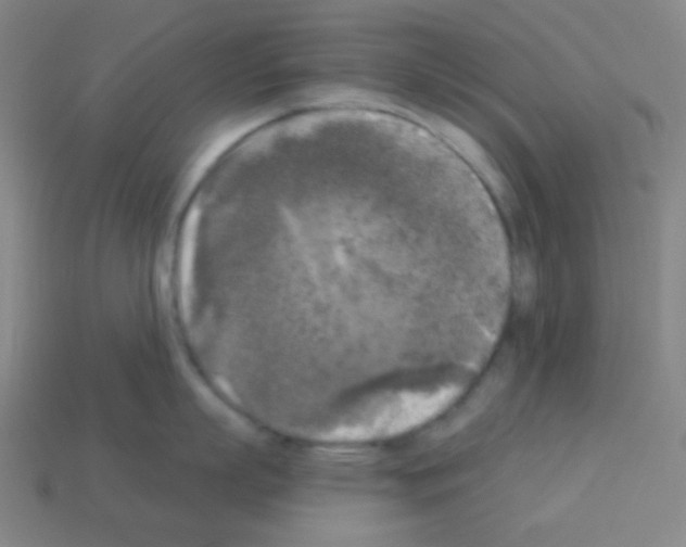 X0000113100863200910091138