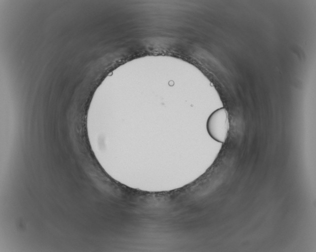 X0000113100865200910091137
