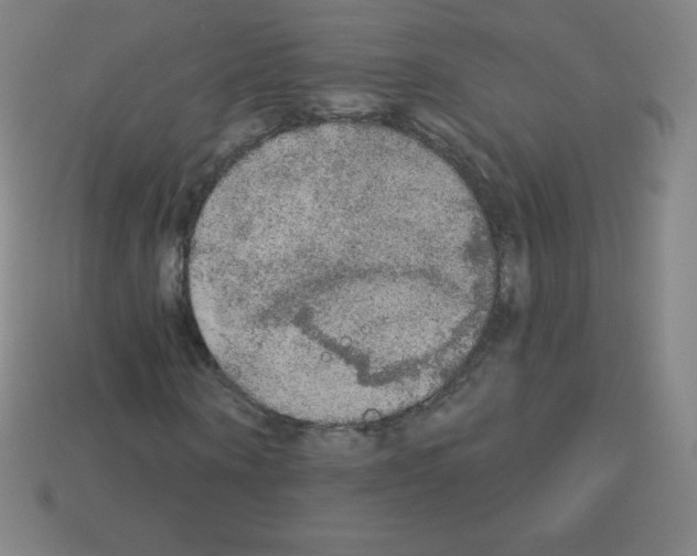 X0000113100866200910091137