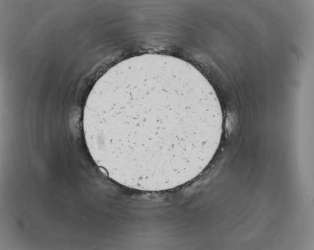 X0000113100867200910091137