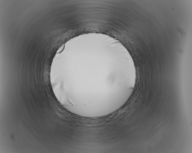 X0000113100868200910091137