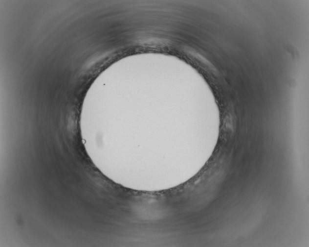 X0000113100869200910091137