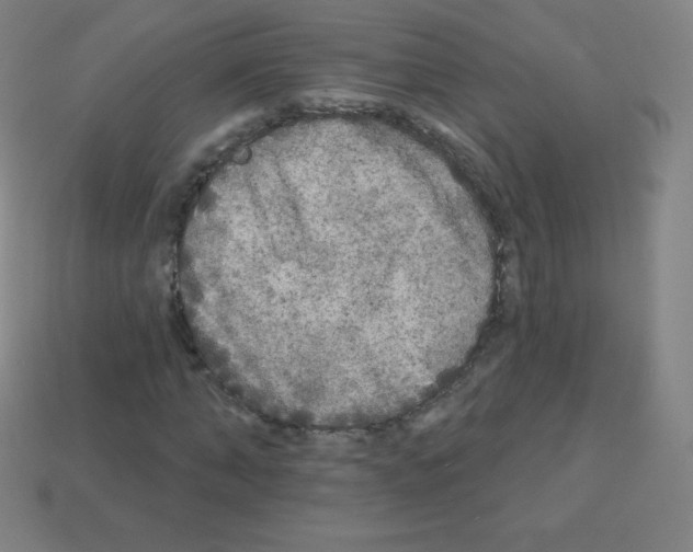 X0000113100870200910091137