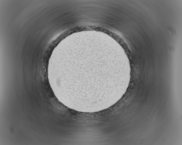 X0000113100871200910091137