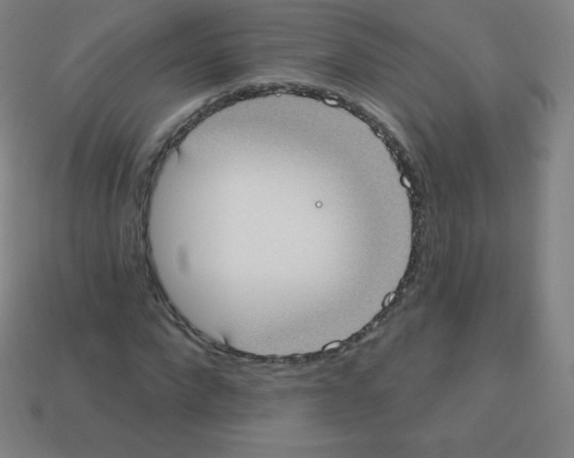 X0000113100872200910091137
