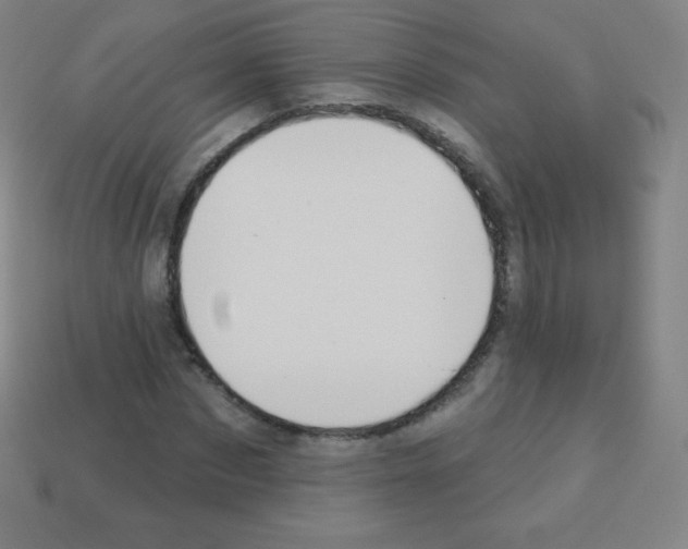 X0000113100873200910091137