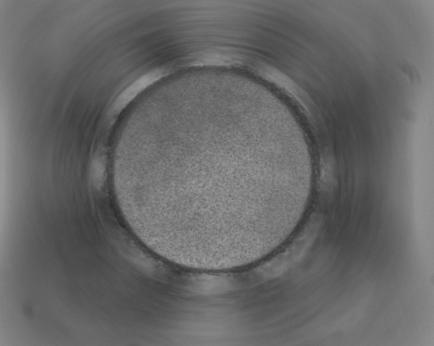 X0000113100874200910091137