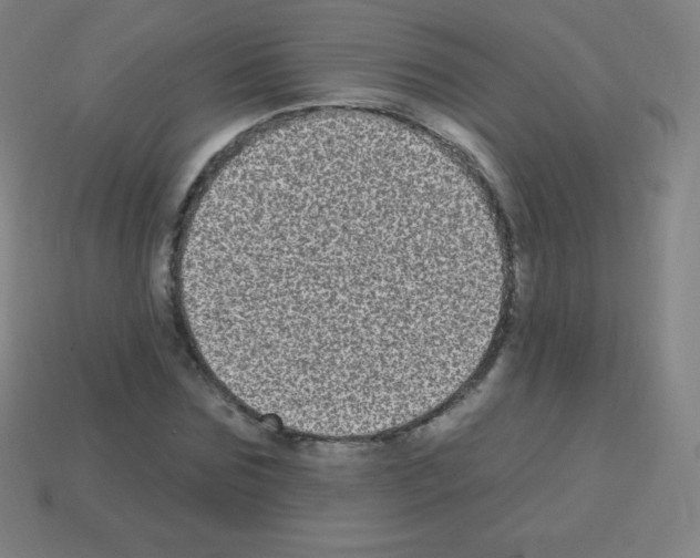 X0000113100875200910091137