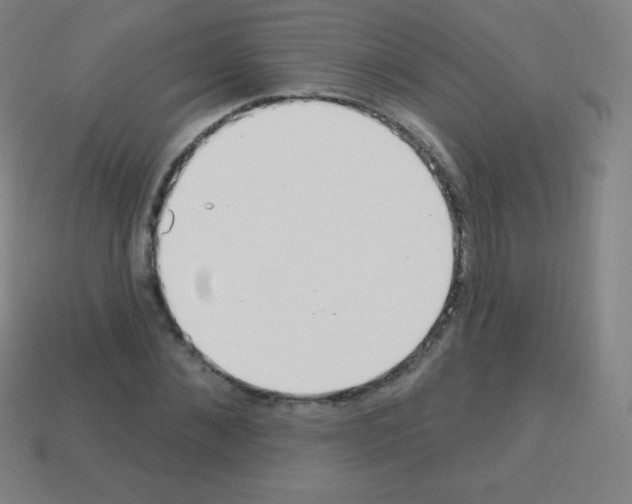 X0000113100876200910091137