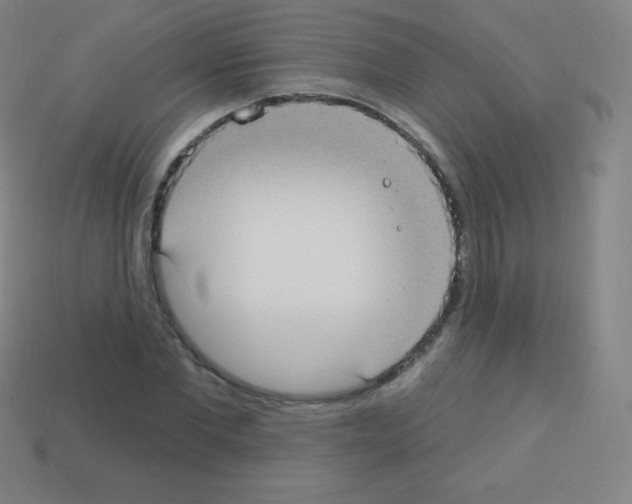 X0000113100877200910091137